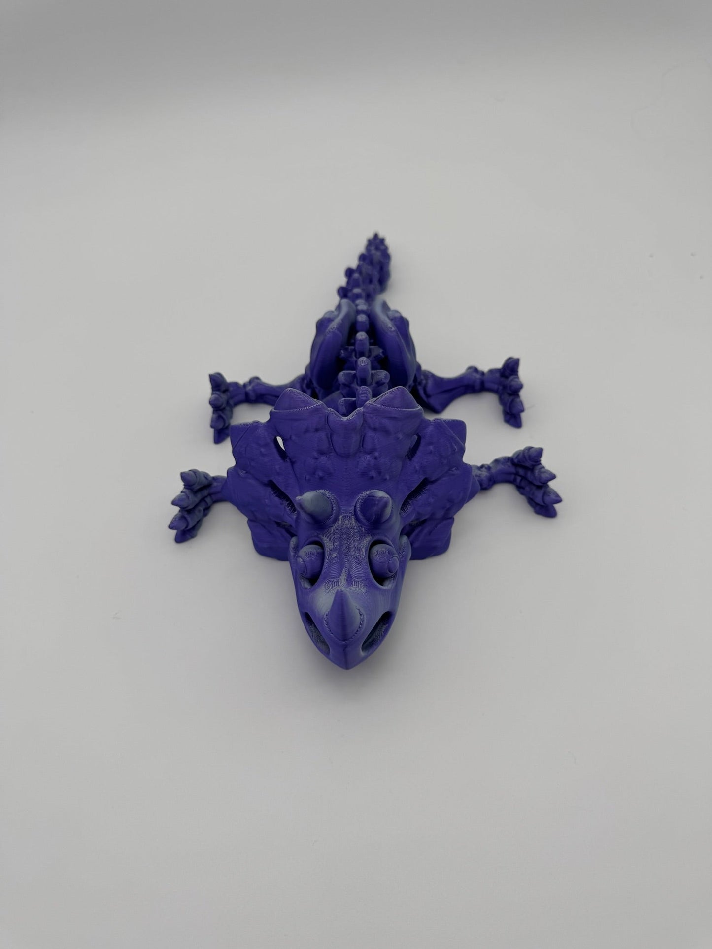 Skeleton Triceratops